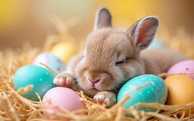 Easter Bunny, 4k, Bunny near eggs, Easter concepts, Happy Easter, Easter decorations, Easter Bunny with eggs, Easter eggs, colorful eggs, Easter