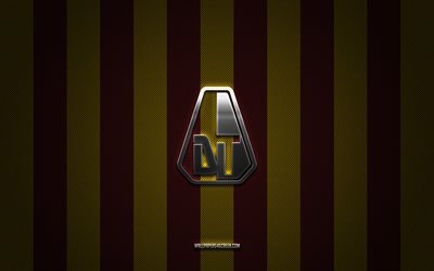 Deportes Tolima logo, Colombia football club, Category Primera A, maroon yellow carbon background, Deportes Tolima emblem, football, Deportes Tolima, Colombia, Tolima