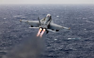 McDonnell Douglas FA-18 Hornet, back view, flying fighters, US Air Force, turbines, fighter-bombers, FA-18, combat aircraft, US army, aircraft, military aviation, FA-18 Hornet, McDonnell Douglas