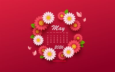 4k, kalender mai 2026, lila hintergrund mit blumen, mai, kreativer blumenkalender, mai kalender 2026, roter hintergrund, konzepte für 2026, rosa blumen