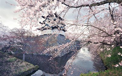 castillo hirosaki, 4k, primavera, flor de cerezo, hitos japoneses, hirosaki, japón, asia, hermosa naturaleza