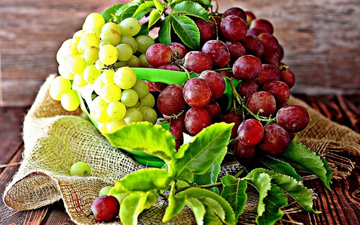 uva, cacho de uvas, bagas, frutas, uva branca