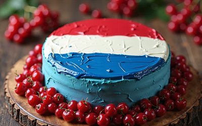 Netherlands flag painted on cake, 4k, Netherlands flag, baking, Netherlands, cake with berries, Dutch flag, flag of Netherlands, cake with the Norwegian flag, Bevrijdingsdag, cake like Netherlands flag